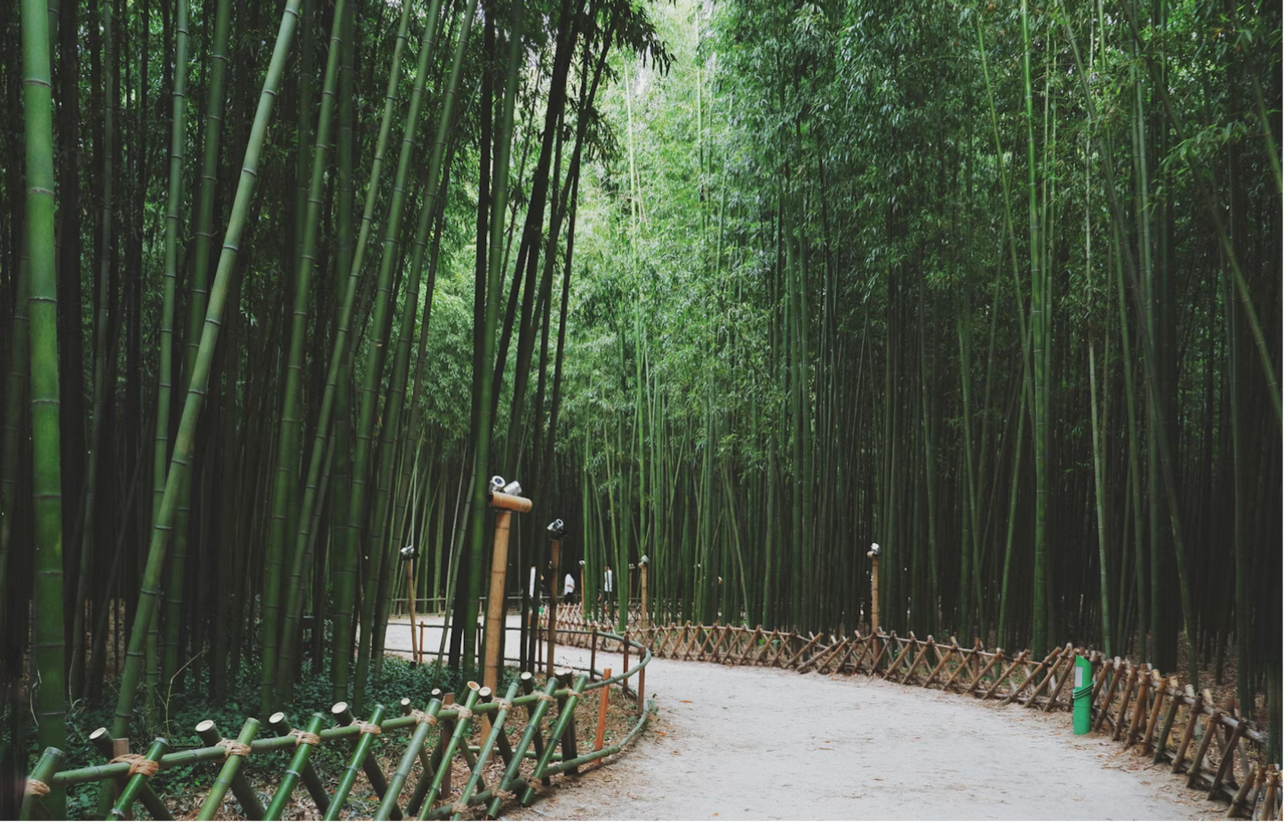 Bracelet Bambou (대나무) en jade et agate