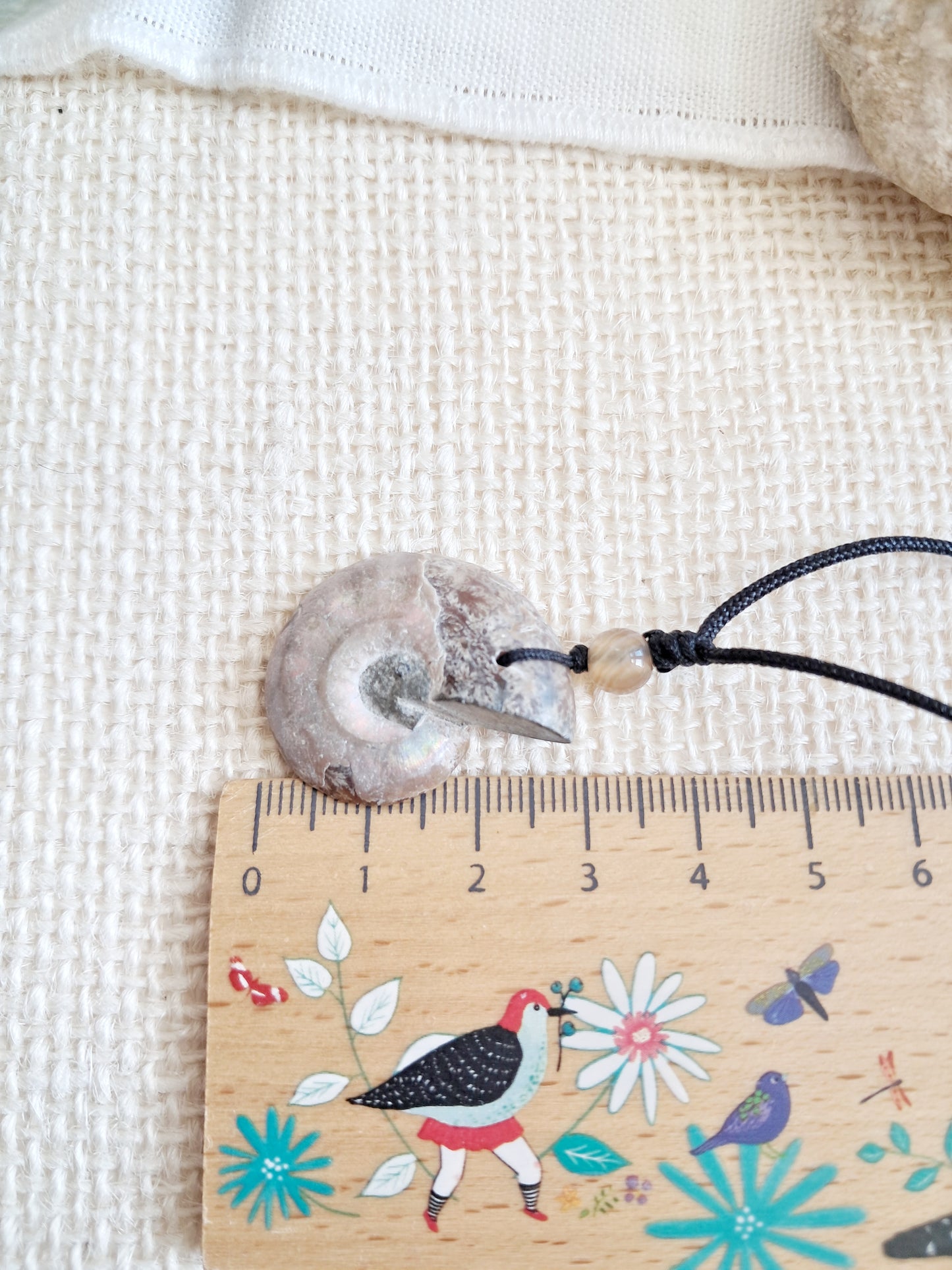Collier ammonite sur cordon ajustable