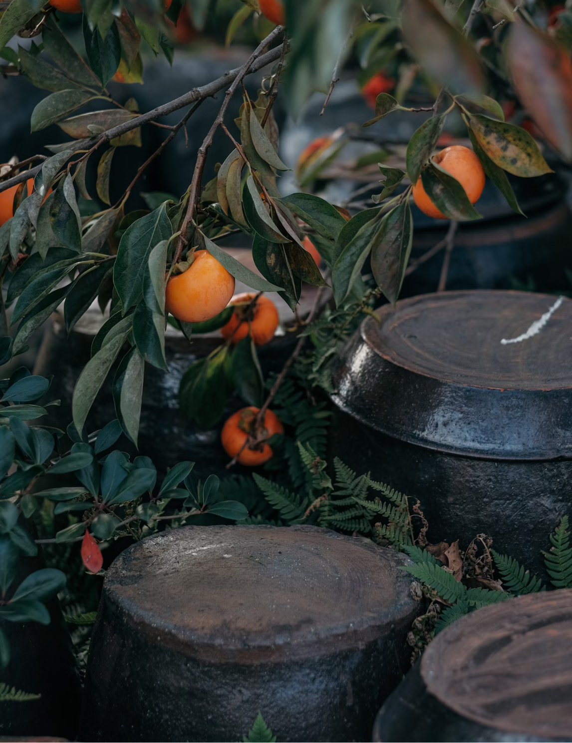 Bracelet fruit Kaki (감) en verre, bronzite et jade vert
