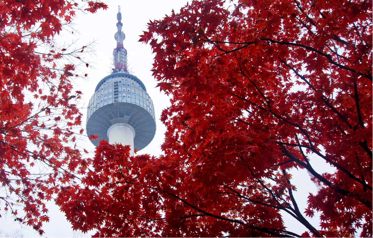 Bracelet N Seoul Tower (엔 서울타워) en opale et agate