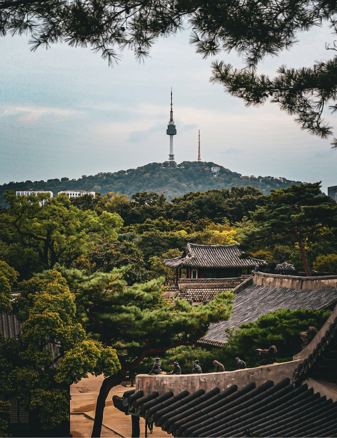 Bracelet Changgyeonggung (창경궁)