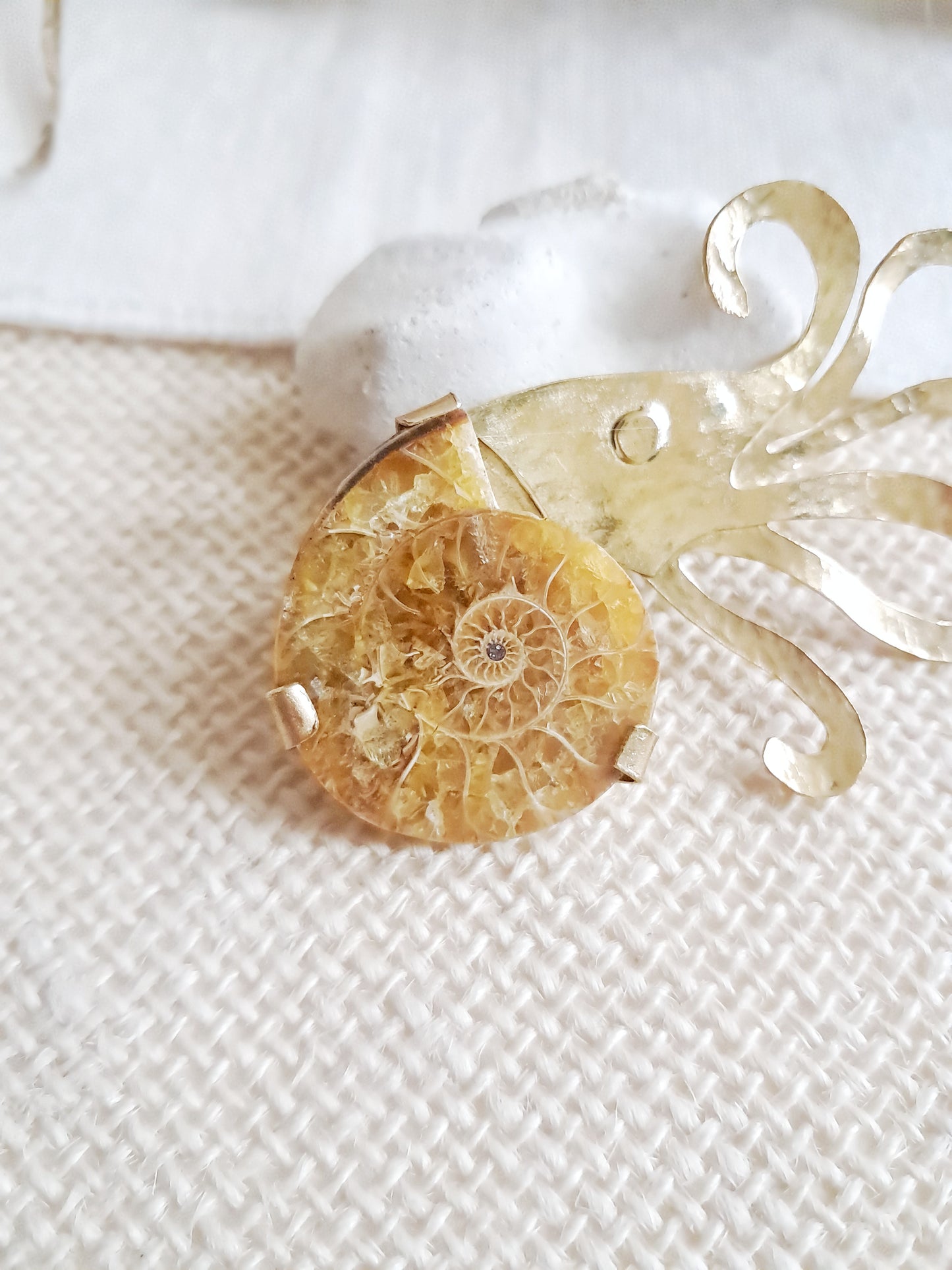 Broche Nautilus en ammonite et laiton