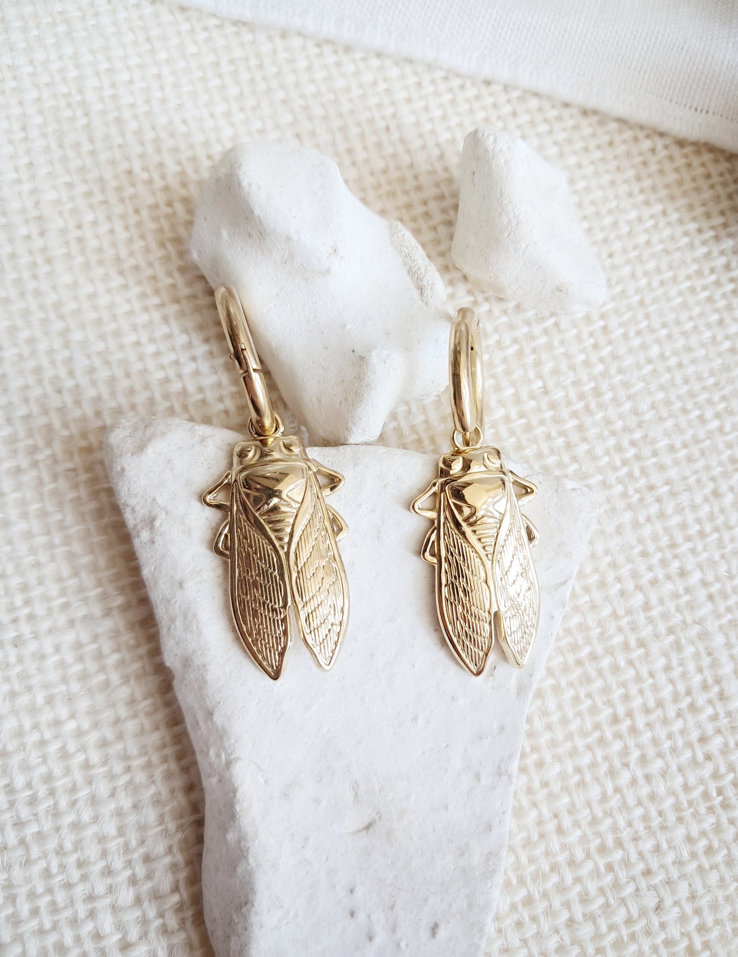 Boucles d'oreilles créoles cigales en acier inoxydable doré