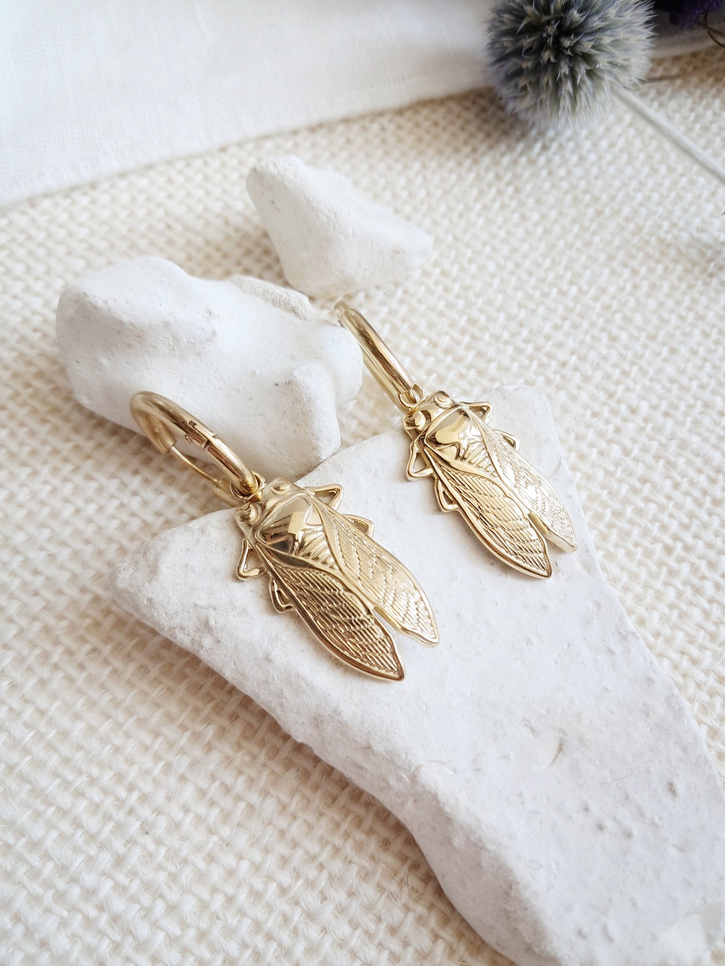 Boucles d'oreilles créoles cigales en acier inoxydable doré