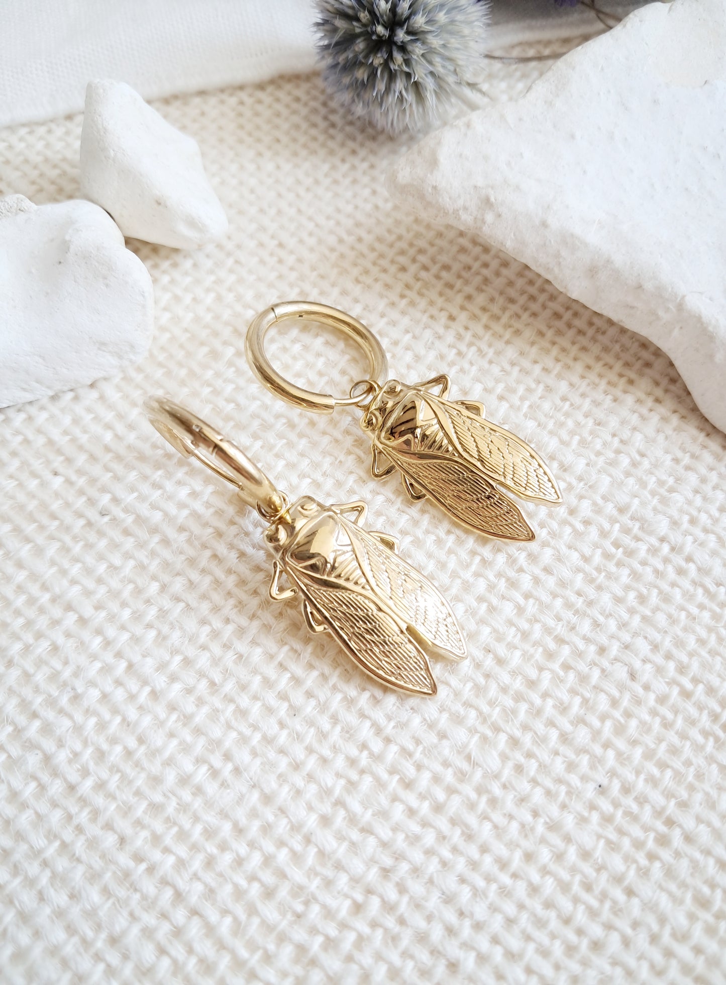 Boucles d'oreilles créoles cigales en acier inoxydable doré