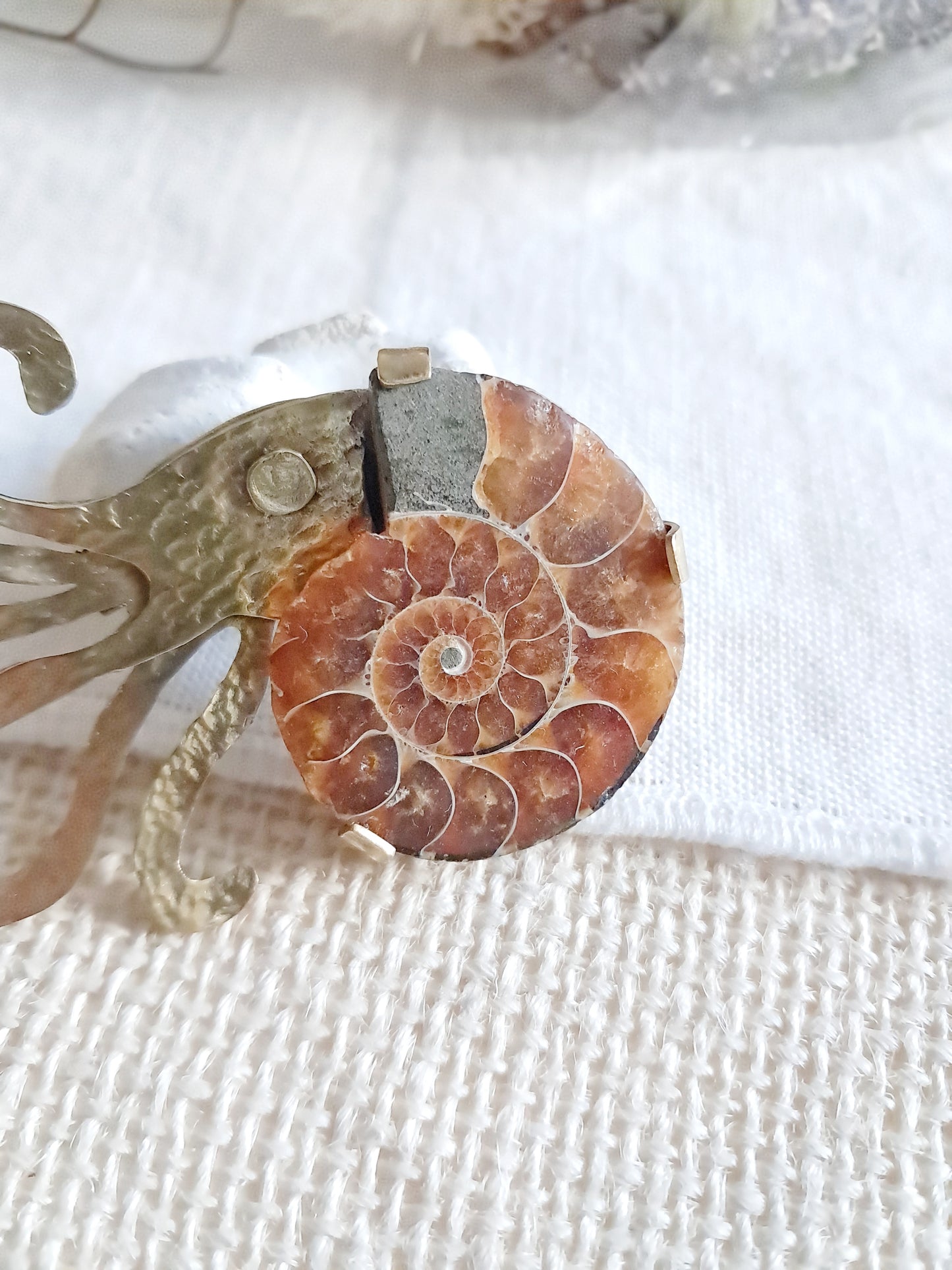 Broche Nautilus en ammonite et laiton