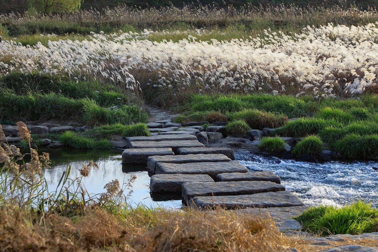 Bracelet "Paysage automnal de Corée" en labradorite, jade vert et fossile de corail